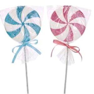 🍭  Lollipop Foam Picks 🍭